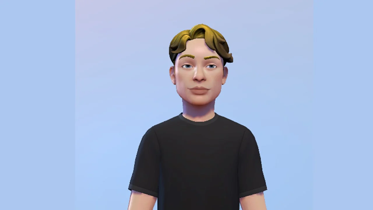 A stylised avatar used to discuss a caricature digital twin